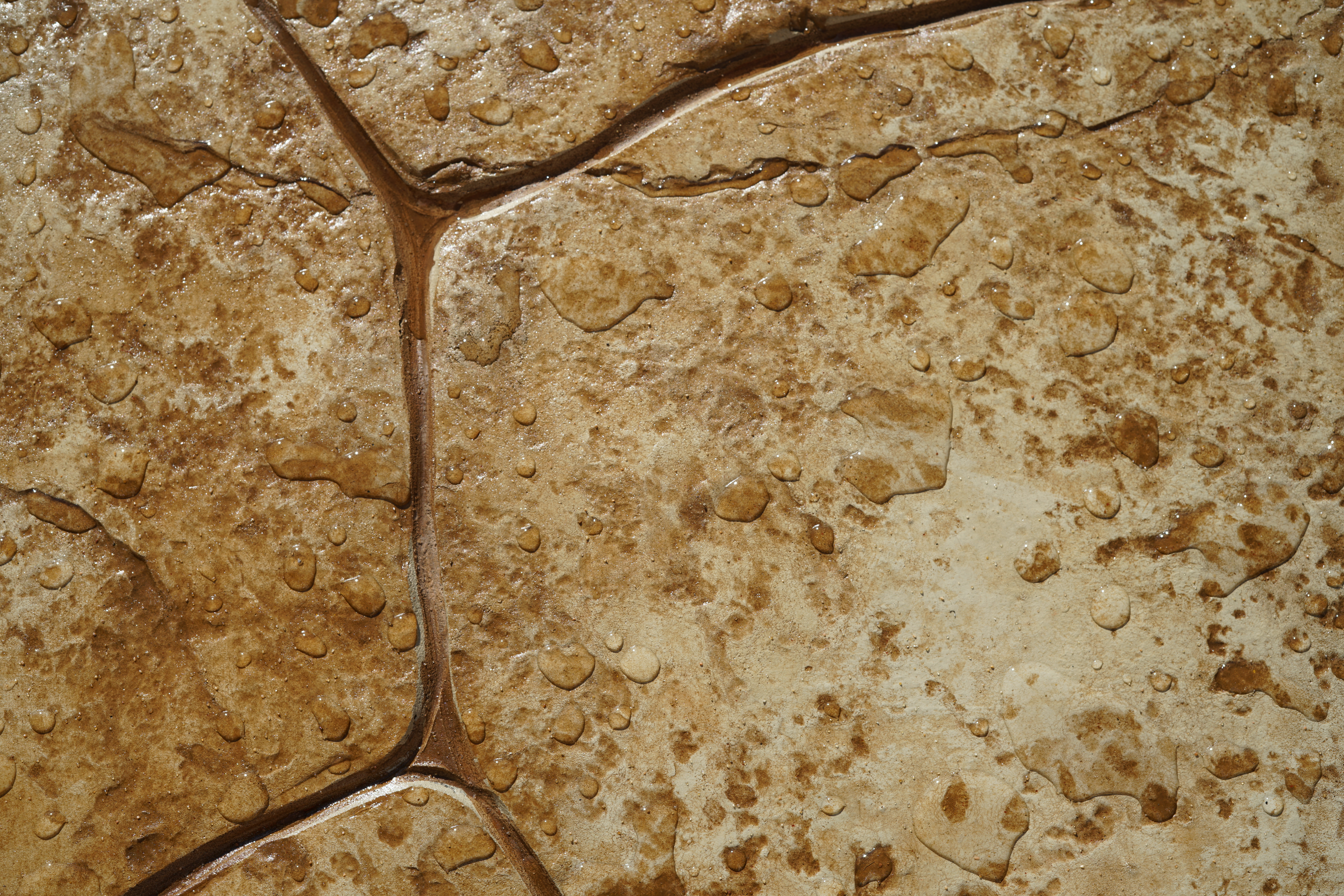 The Stamped Concrete Sealing Dilemma: Why Professionals Always Say Yes